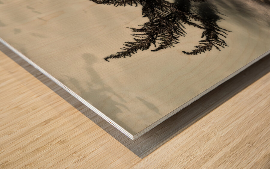 Water Fronds Wood print