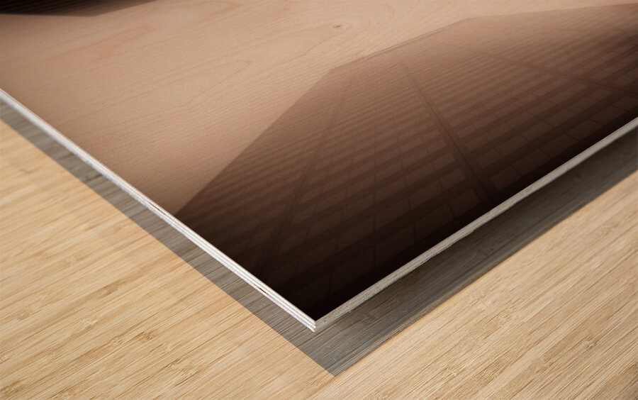 Metropolis Wood print