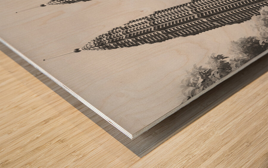 Petronas Towers Infrared Wood print