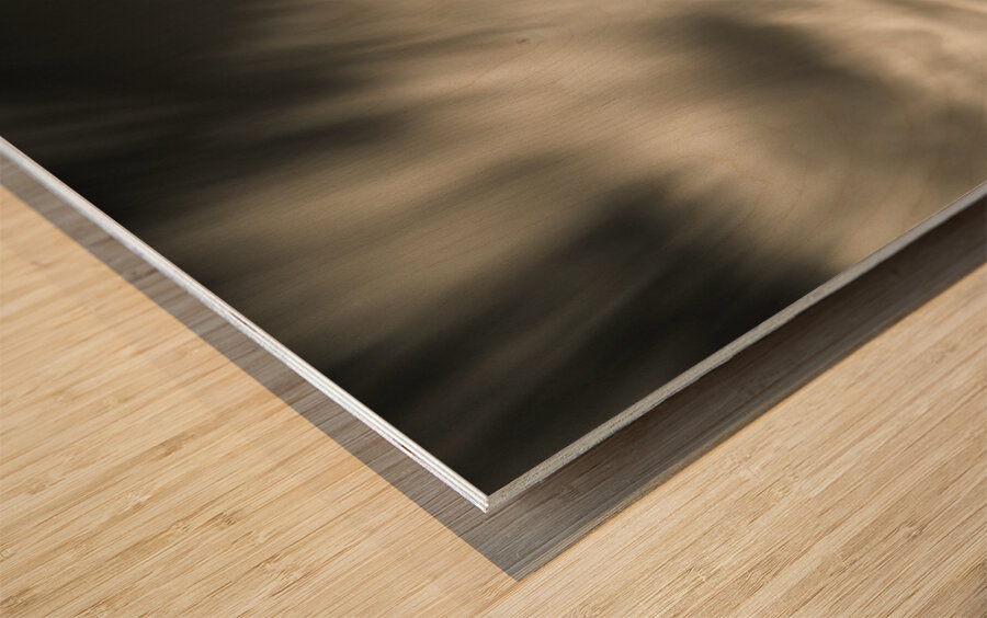 Field Tracks Wood print