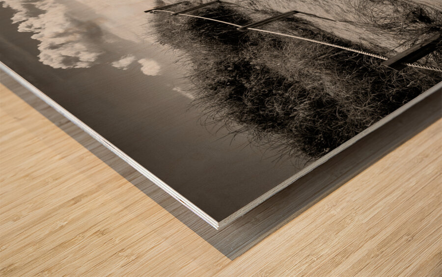 To the Beach Wood print