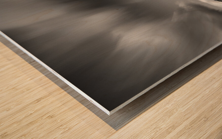 Twr Mawr Lighthouse Wood print