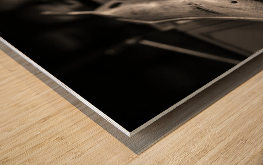 Vintage Shoe Lasts Wood print