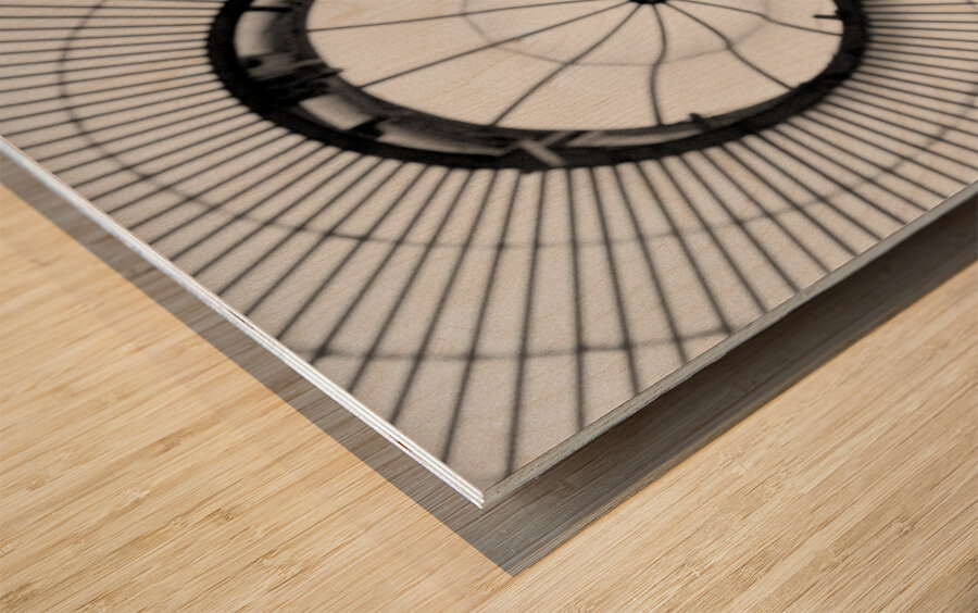 Fern and Dome Wood print