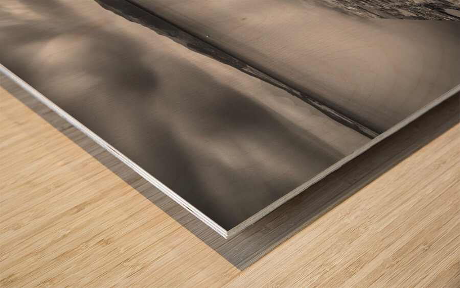 Ring and Rope Wood print