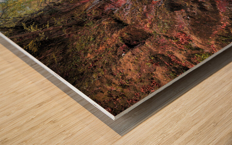 River North Esk Wood print