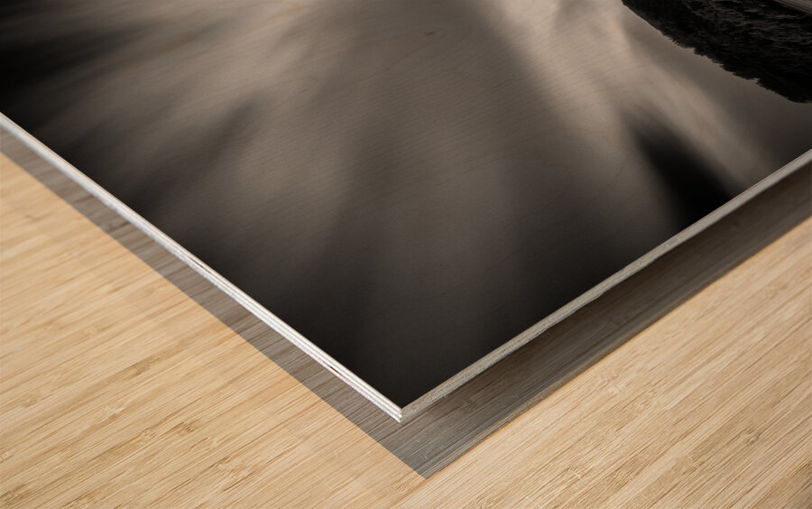 Eilean Donan Castle I Wood print