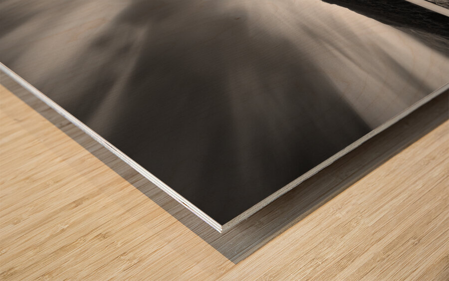 Eilean Donan Castle II Wood print