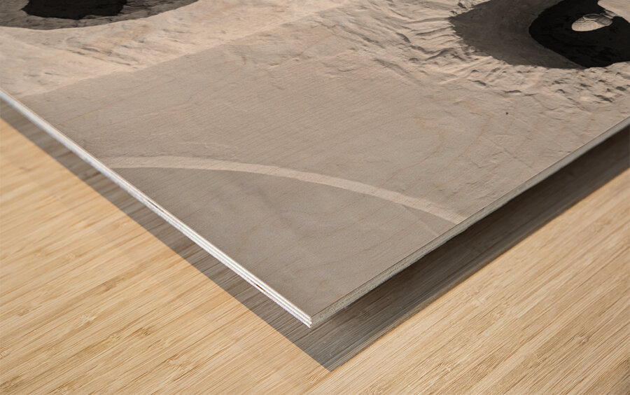 Portmeirion Style Wood print