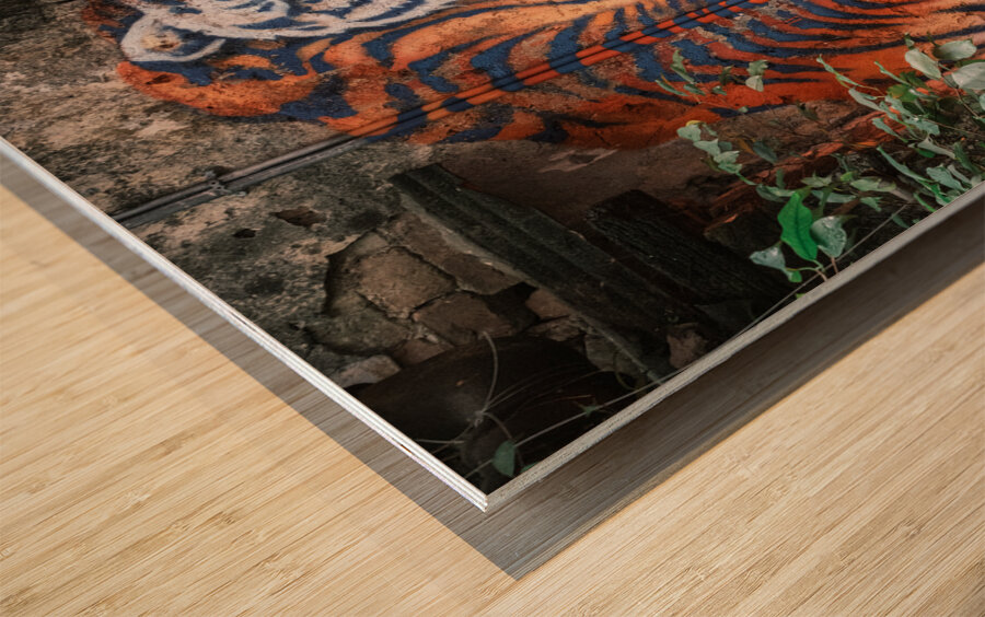 Wall Tiger Wood print