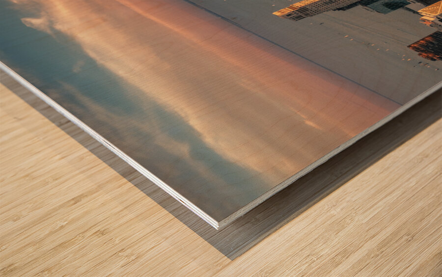 Chicago Lakefront Wood print