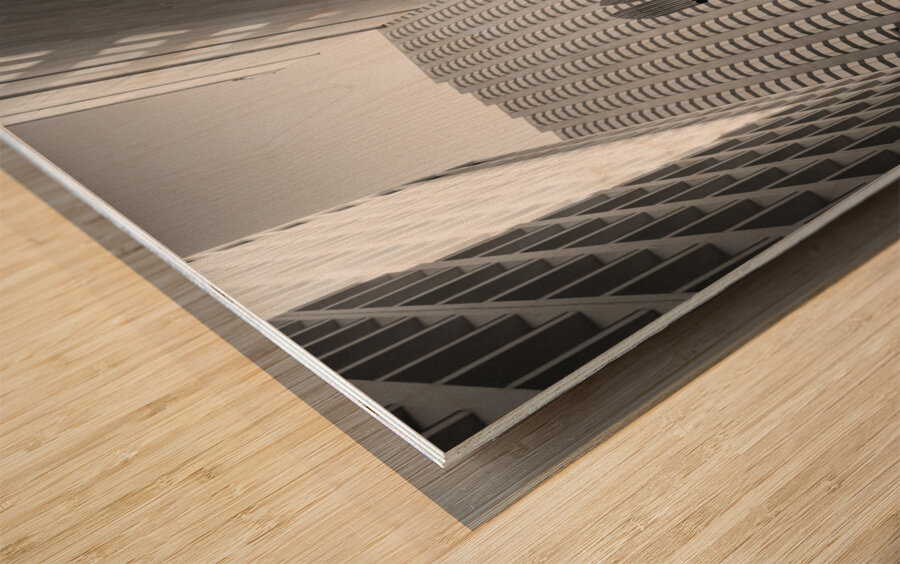 Miros Chicago Wood print