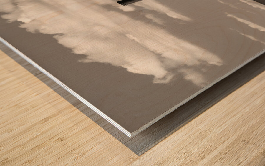 Union Station Power House Wood print