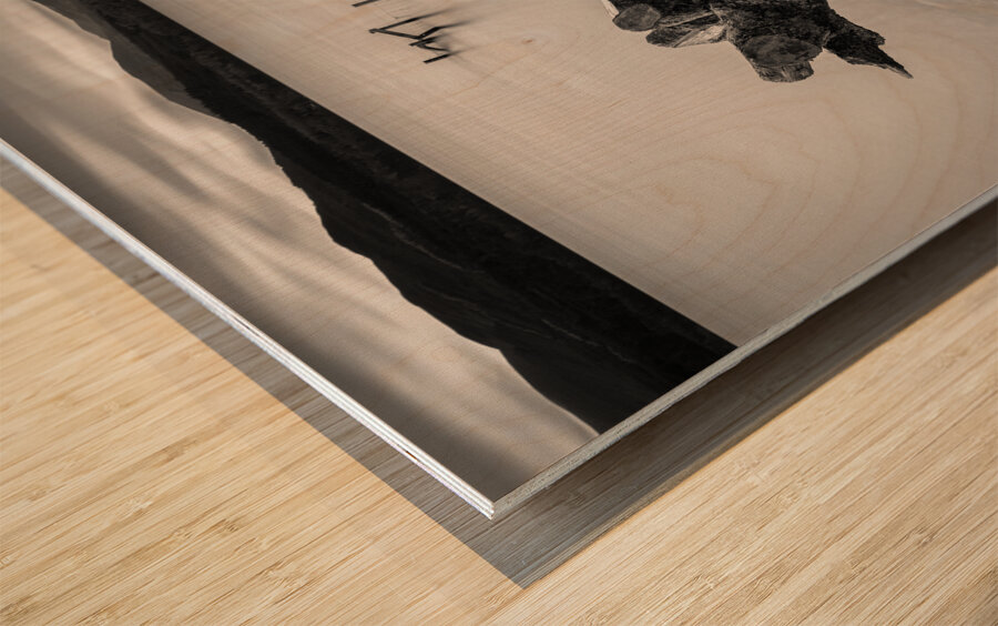 Limbless on Loch Rannoch Wood print