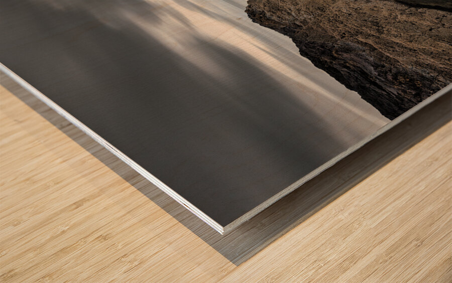 Scurdie Ness Wood print