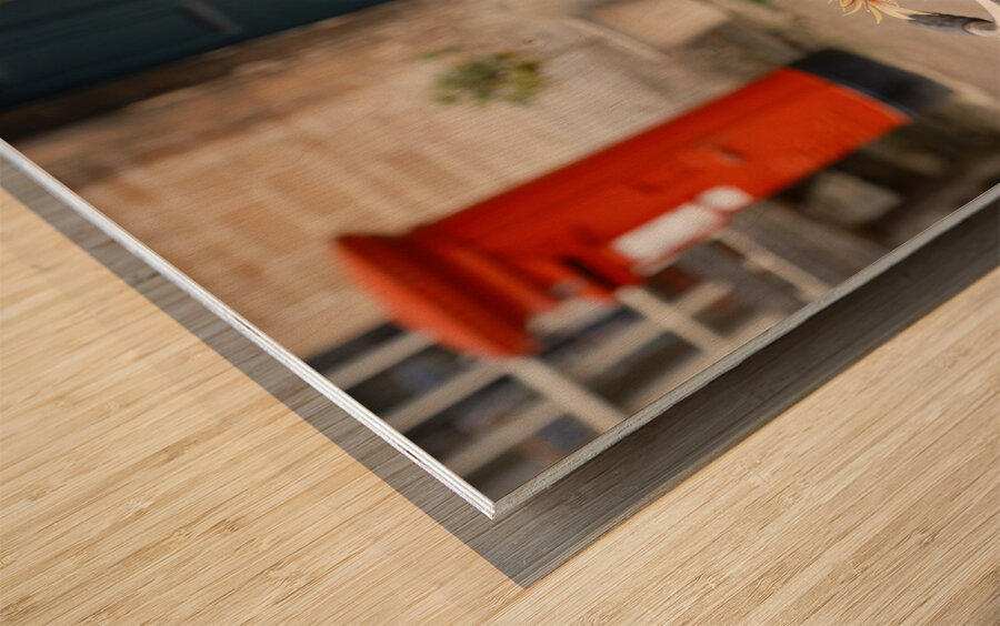 Lacock Bicycle Wood print