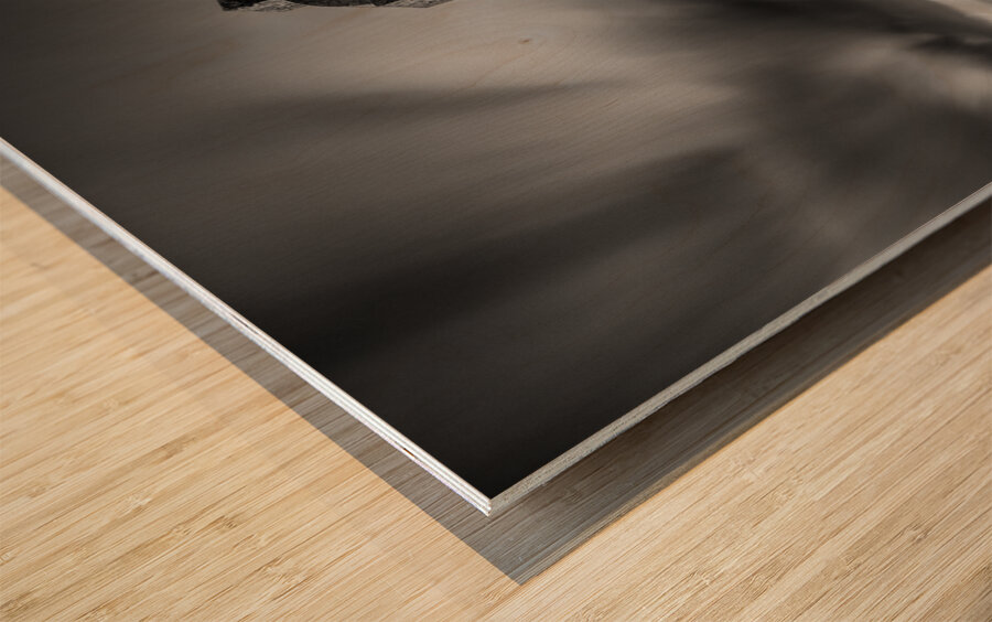 Llanddwyn Island Wood print