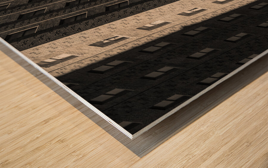 Sunlight on the Allerton Hotel Wood print