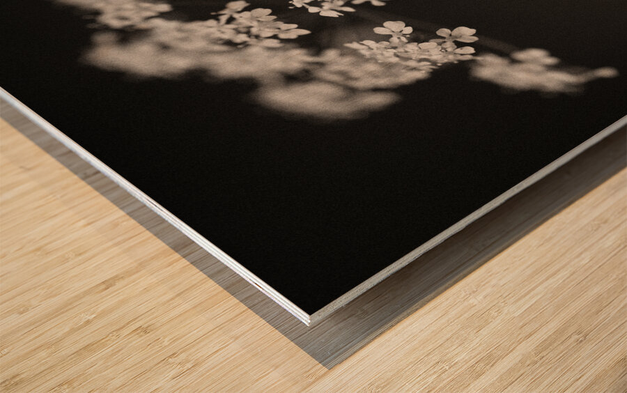 Woodland Study 2 Wood print