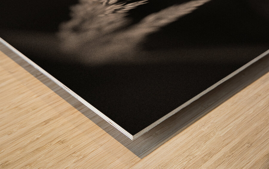 Woodland Study 7 Wood print