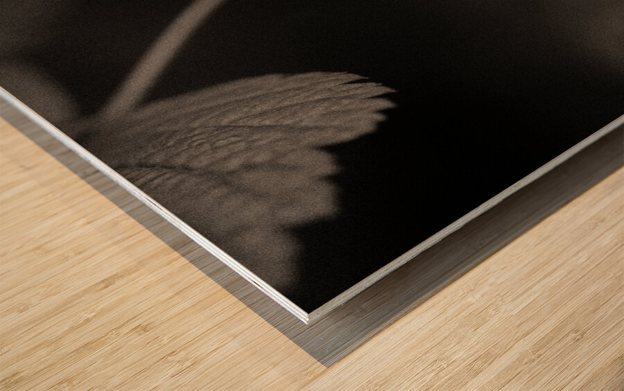 Woodland Study 10 Wood print