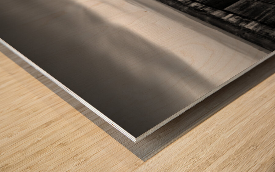 South Pier 1 Wood print