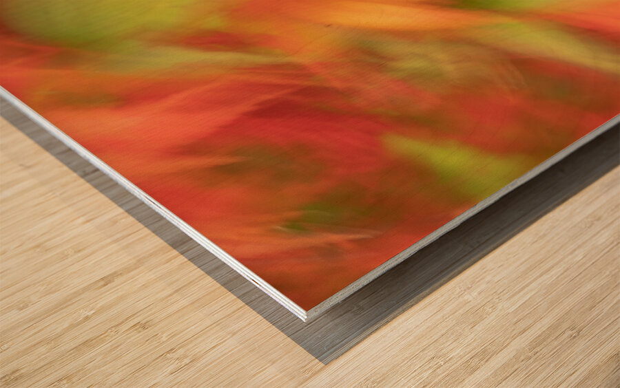 Autumn Collage Wood print