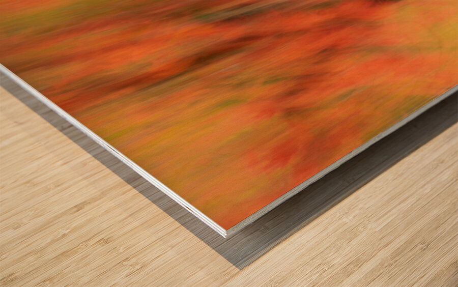 Autumn Mirage Wood print
