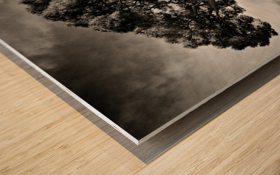 Roman Forum Trees Wood print