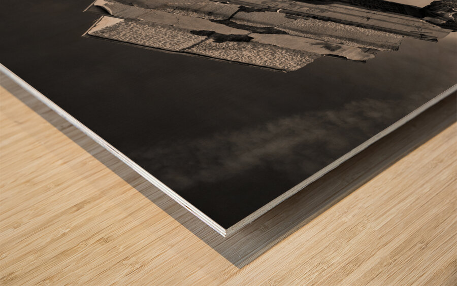 Roman Forum Pillars Wood print