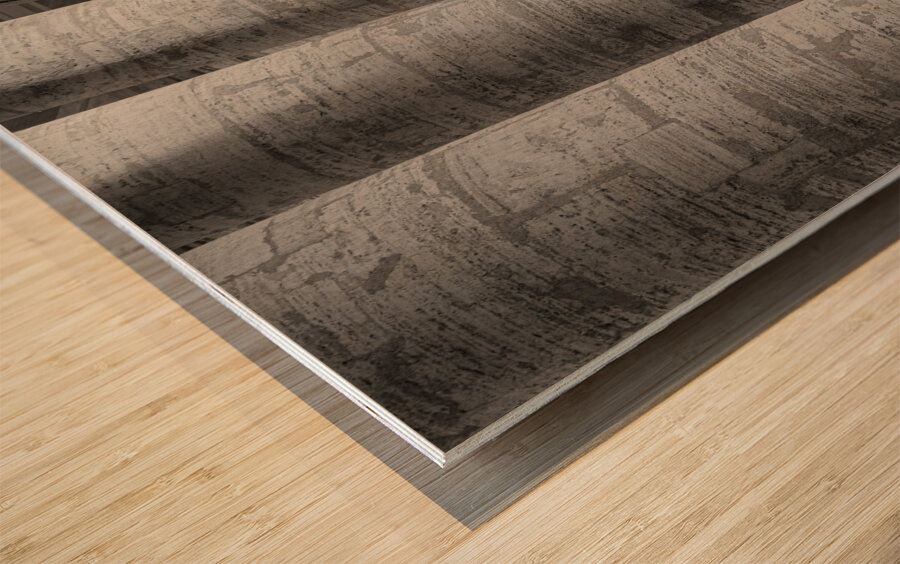 Vatican Lamp Wood print