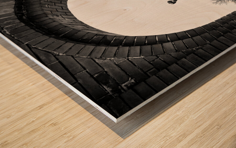 Republic of Councils Monument Wood print