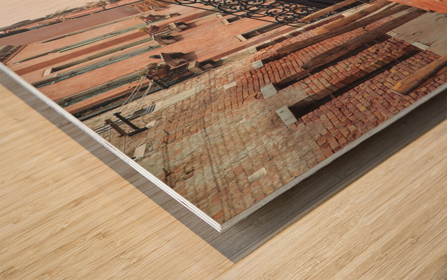 Backwaters of Venice Wood print