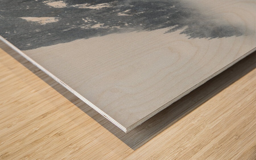 Snowy Day in the Alps Wood print