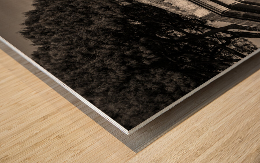 Farnese Aviary Wood print