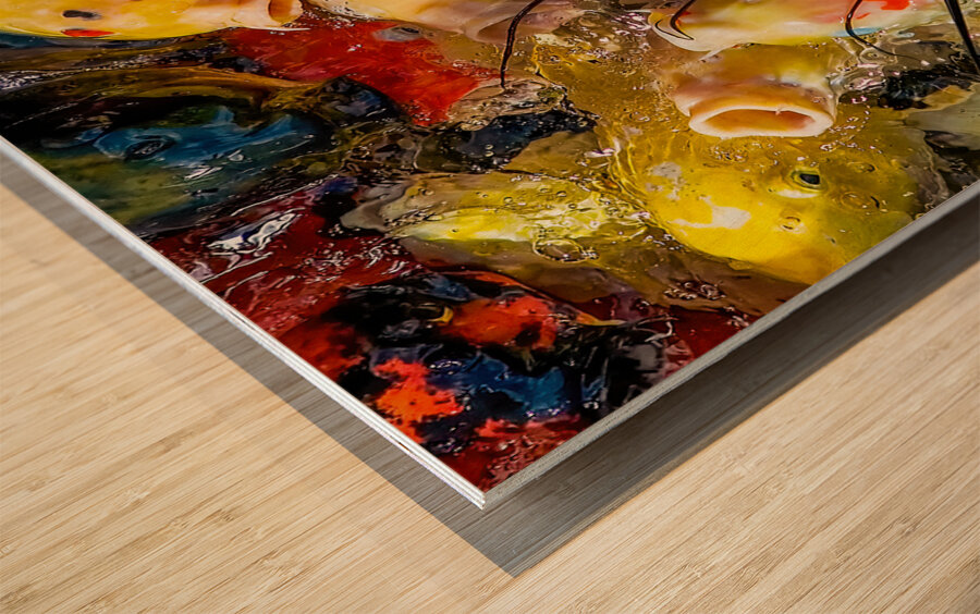 Fish Fight Wood print