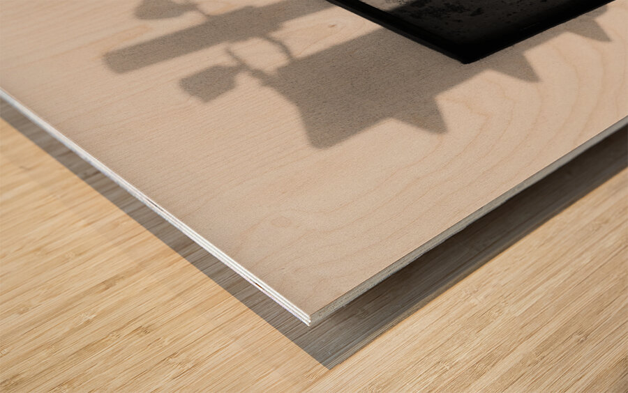 Traffic Light Wood print