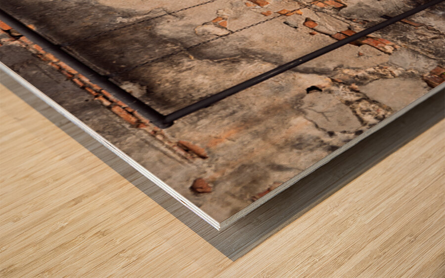 Children on a Swing Wood print