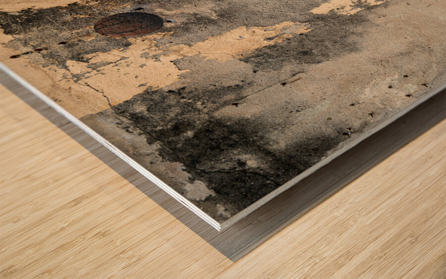 Playing Hoops Wood print