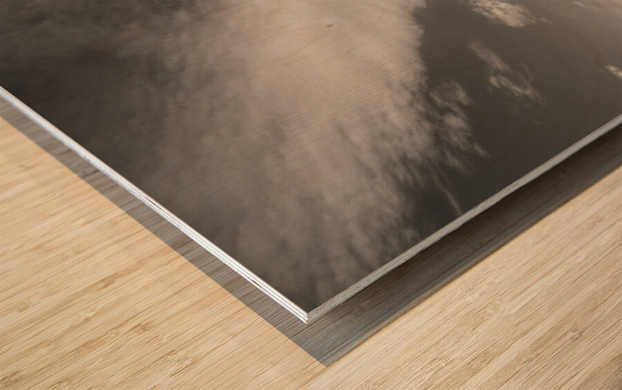 Dunnottar Castle in Infrared Wood print