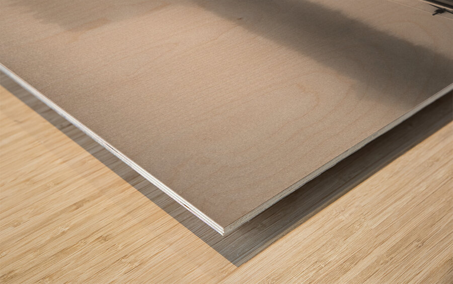 Threave Castle in the Mist Wood print