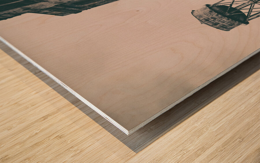 Alcatraz Recreation Yard Wood print