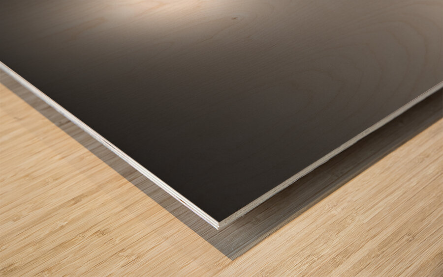 Nungesser and Coli Monument Wood print