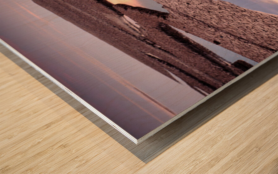 Snettisham Salt Marsh Wood print