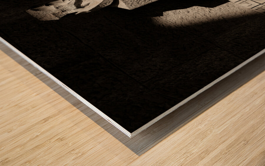 Judas Treason Wood print