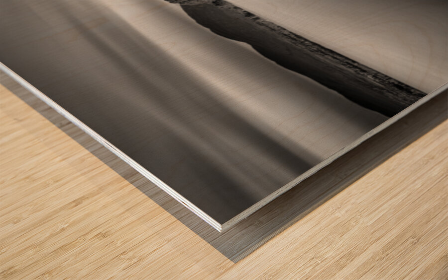 Loch Garten Wood print