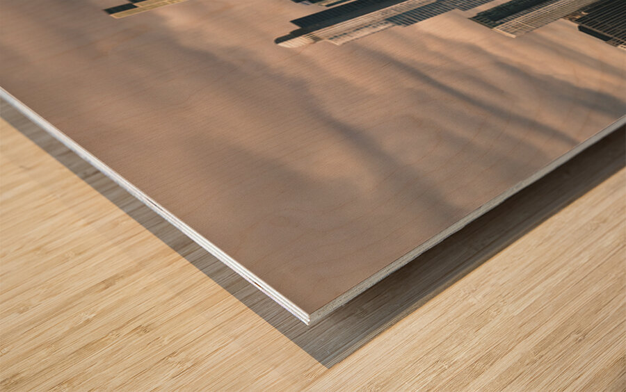 Chicago Waterfront Wood print