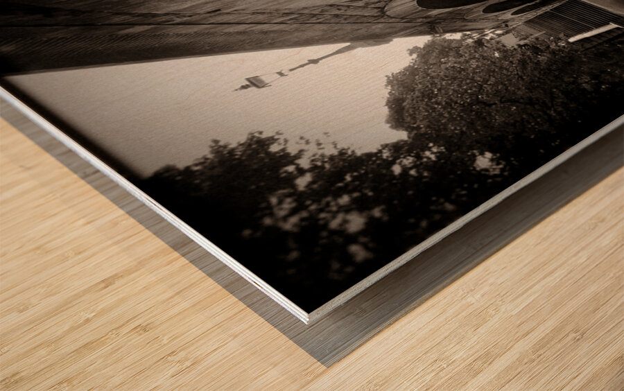 Union Terrace Gardens Wood print