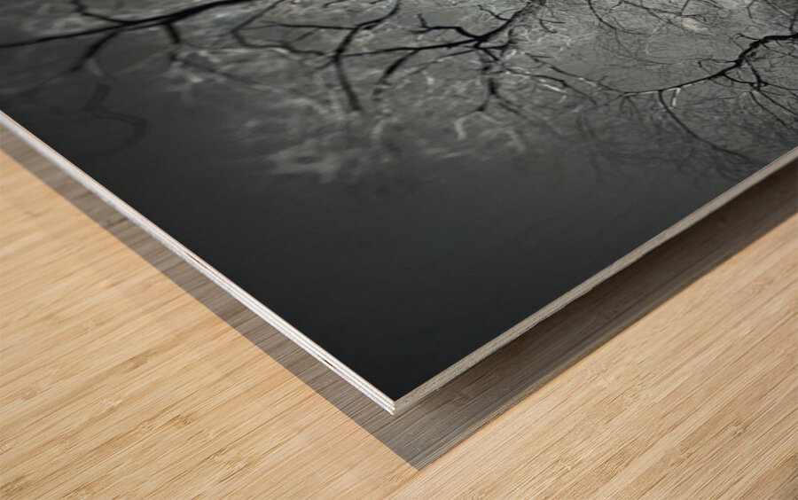 Winter in Central Park Wood print