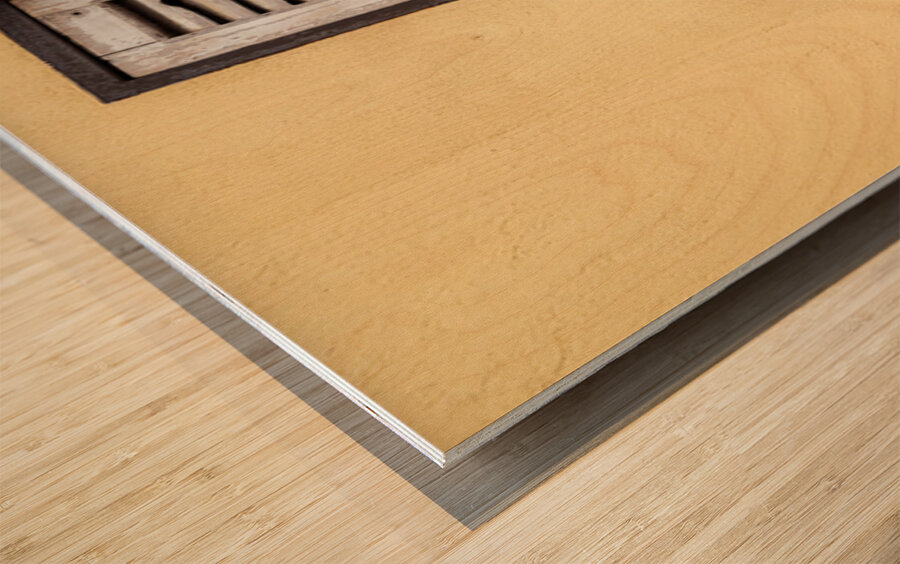 Ipoh Girl and Shutter Wood print